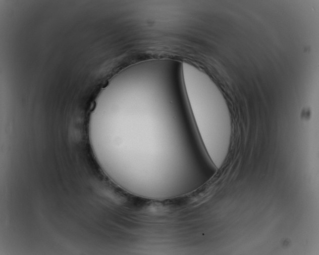 X0000101470416200807071223
