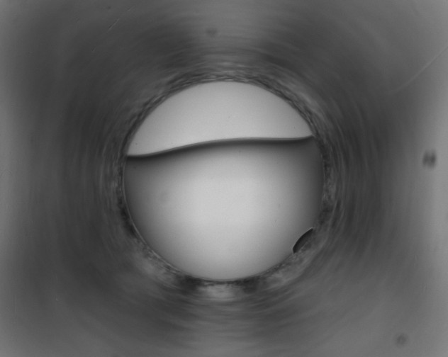 X0000101470417200807071223