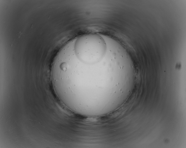 X0000101470418200807071223