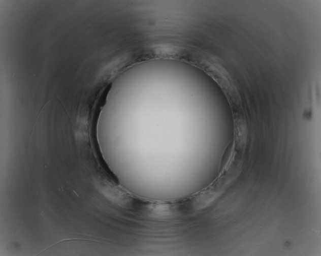 X0000101470419200807071223