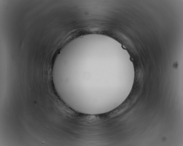 X0000101470421200807071223