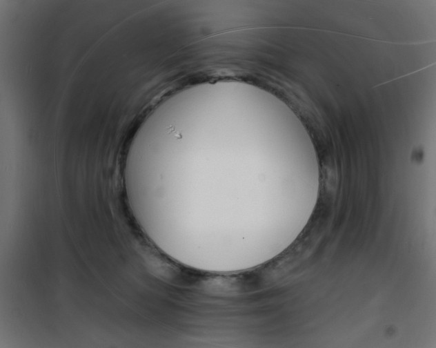 X0000101470422200807071223