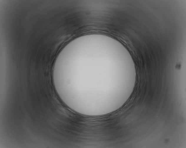 X0000101470423200807071223