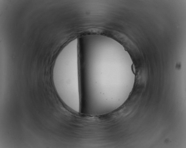 X0000101470424200807071223