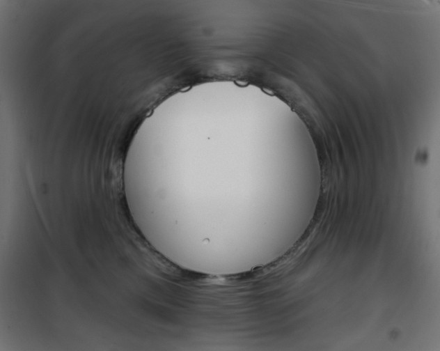 X0000101470425200807071223