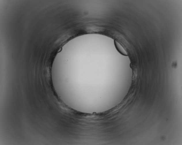 X0000101470426200807071223