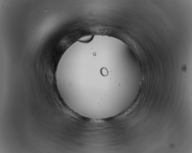 X0000101470429200807071223