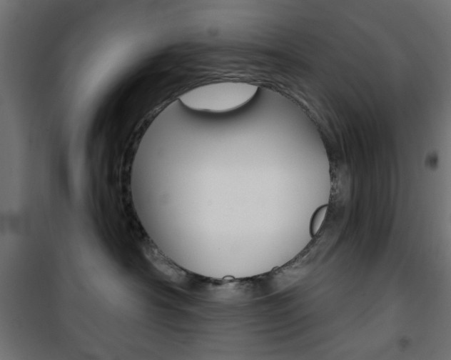 X0000101470430200807071223