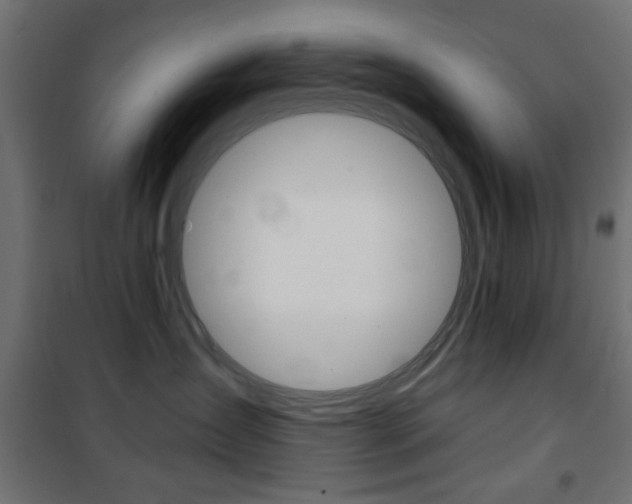 X0000101470431200807071223