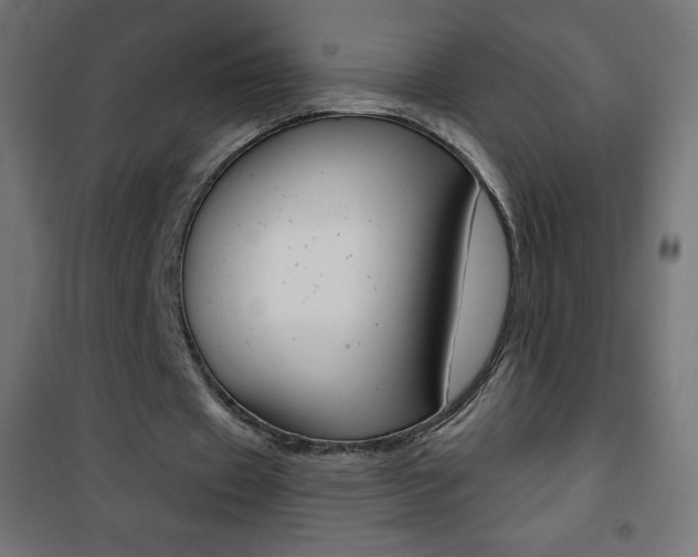 X0000101470433200807071222
