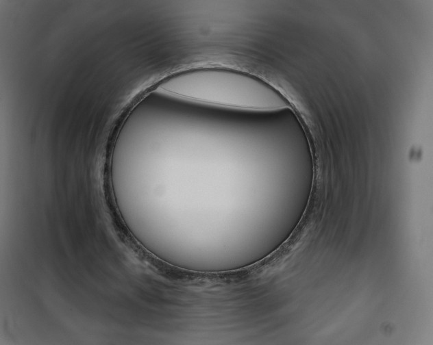 X0000101470434200807071222