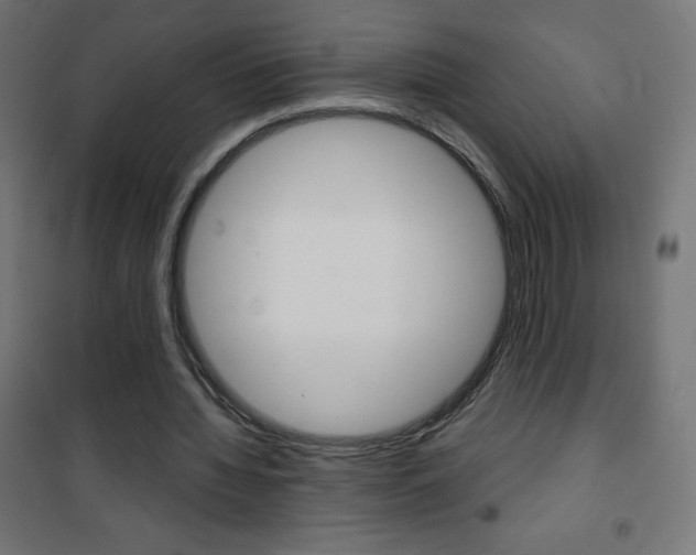 X0000101470436200807071222