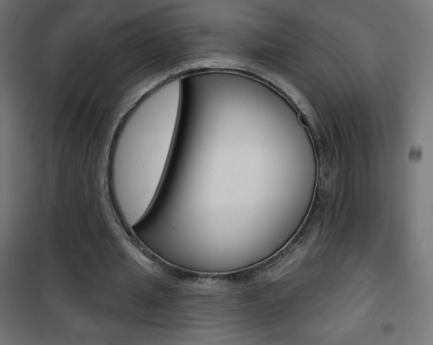 X0000101470437200807071222