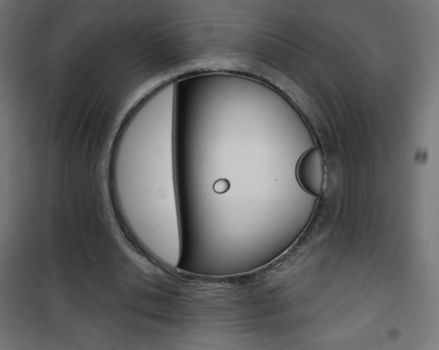 X0000101470438200807071223