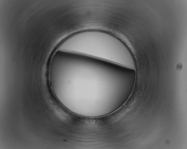 X0000101470439200807071223