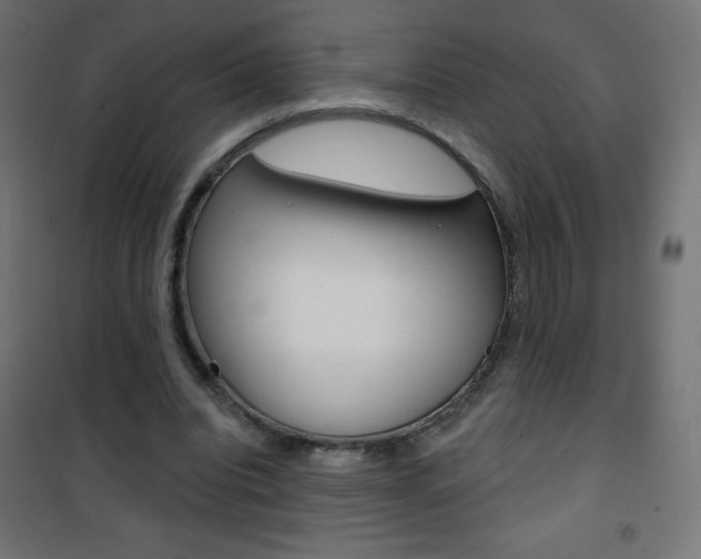 X0000101470440200807071223