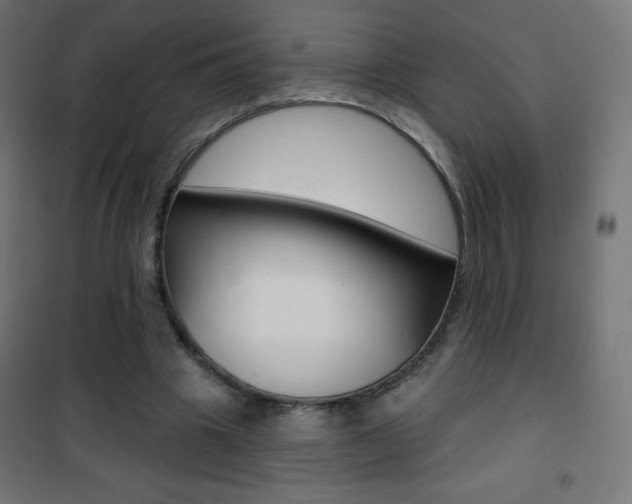 X0000101470441200807071223