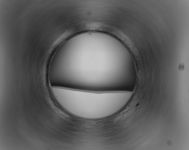 X0000101470442200807071223