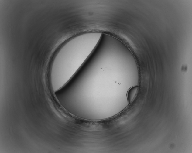 X0000101470443200807071223