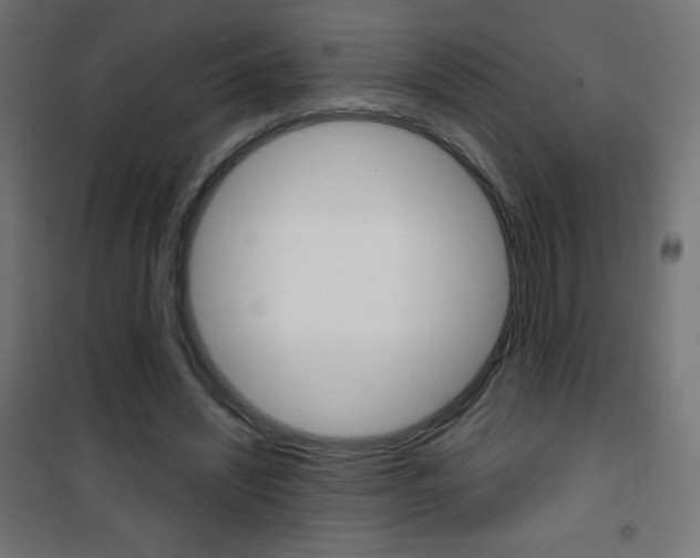 X0000101470444200807071223
