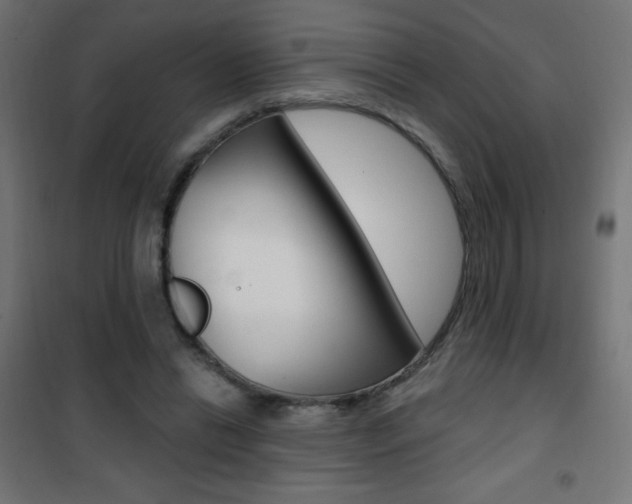 X0000101470446200807071223