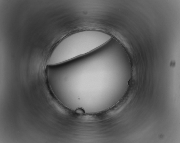 X0000101470449200807071223