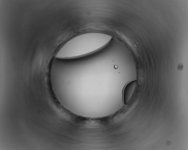 X0000101470451200807071223