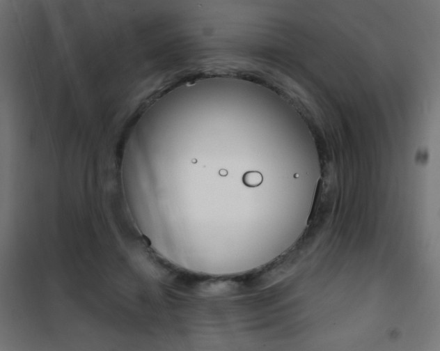 X0000101470452200807071223