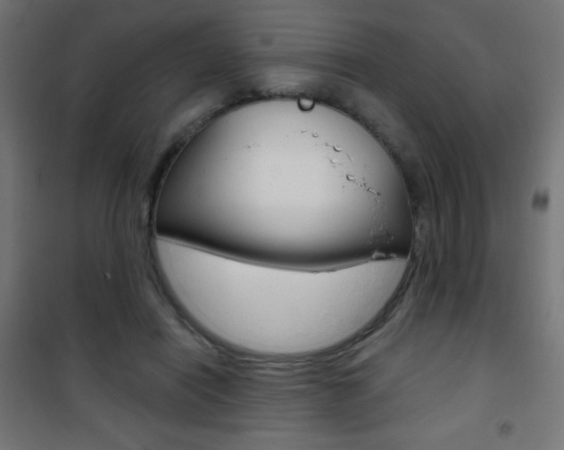 X0000101470454200807071223