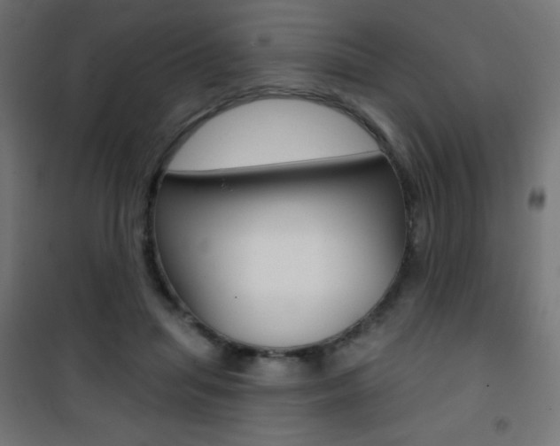 X0000101470455200807071223