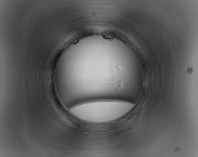 X0000101470456200807071223