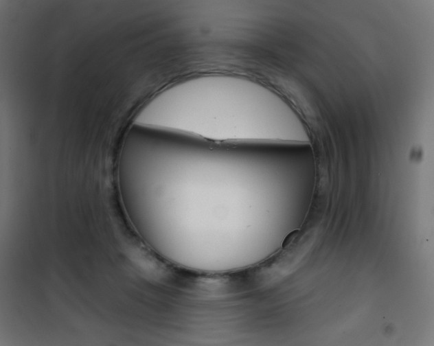 X0000101470457200807071223