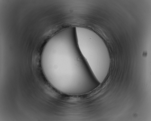 X0000101470458200807071223