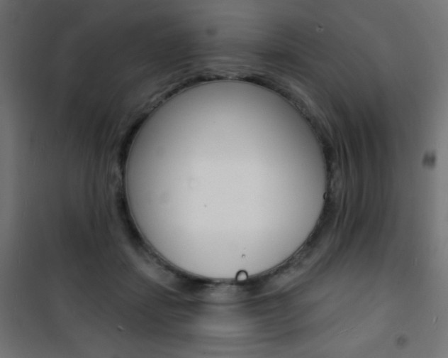 X0000101470459200807071223