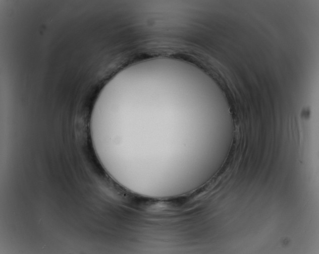 X0000101470460200807071223