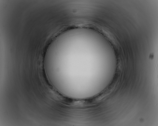 X0000101470461200807071223