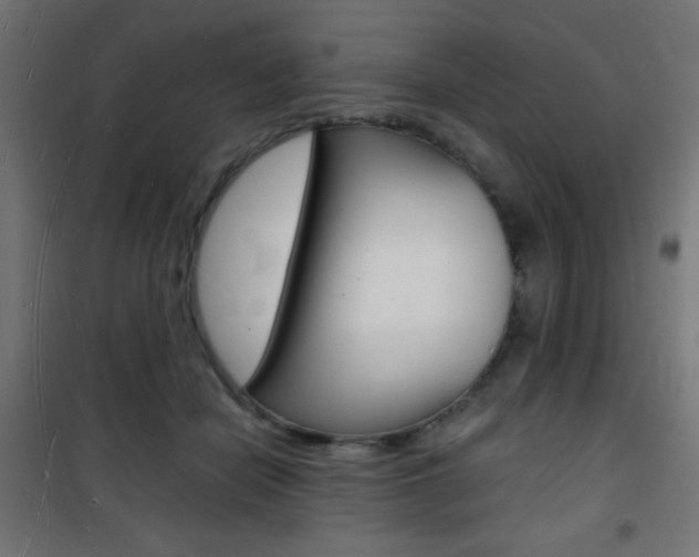 X0000101470462200807071223