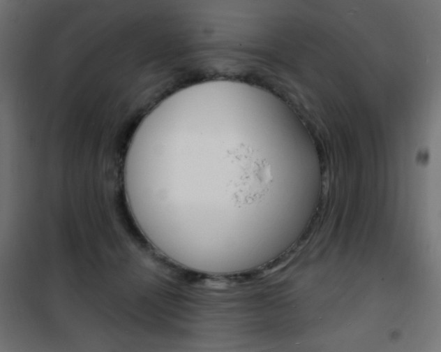 X0000101470464200807071223