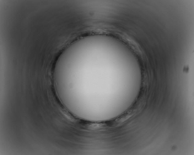 X0000101470465200807071223