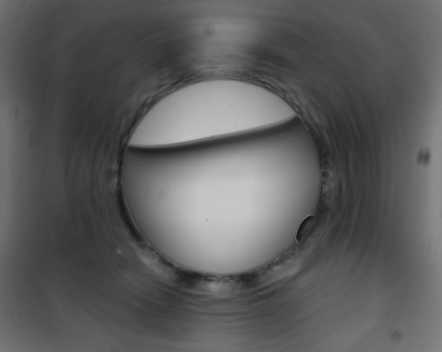 X0000101470466200807071223