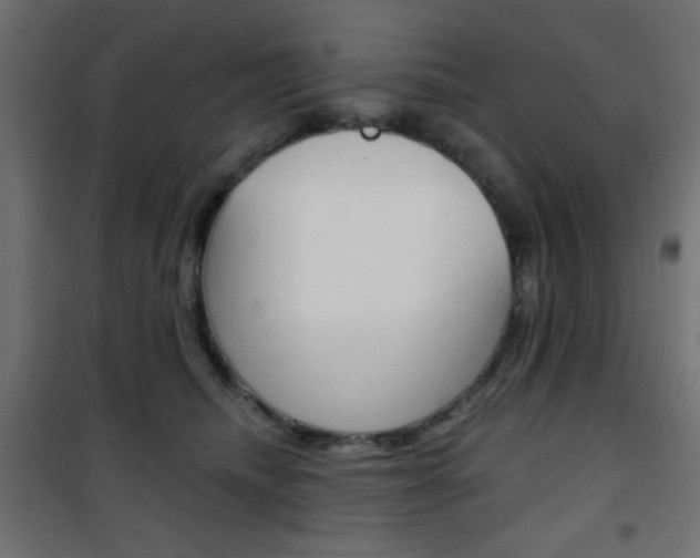 X0000101470468200807071223
