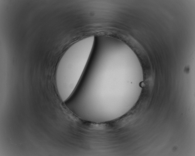 X0000101470469200807071223