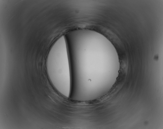 X0000101470470200807071223