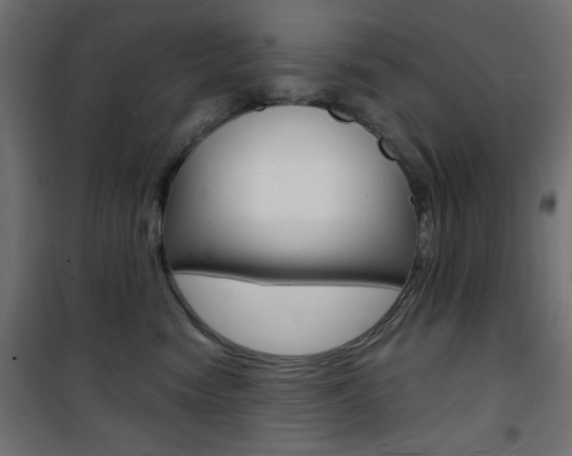 X0000101470474200807071223