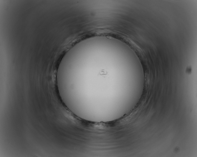 X0000101470475200807071223