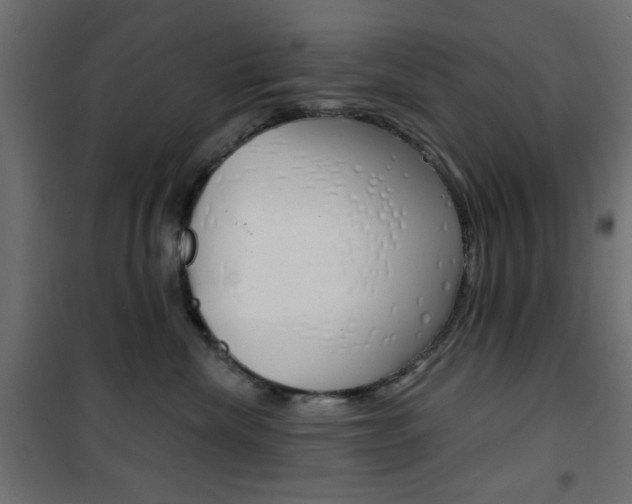X0000101470476200807071223