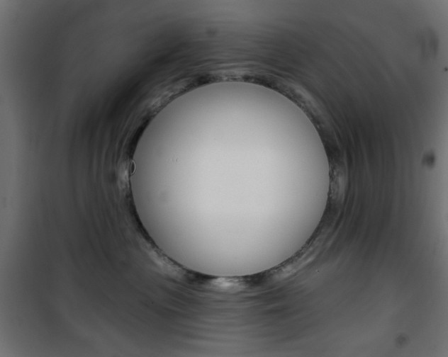 X0000101470477200807071223