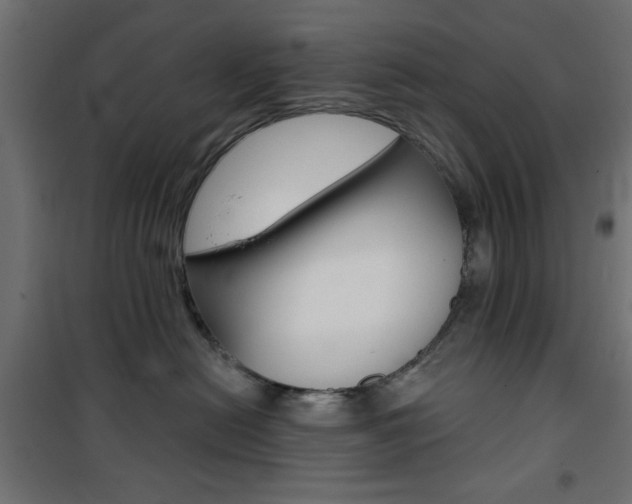 X0000101470478200807071223