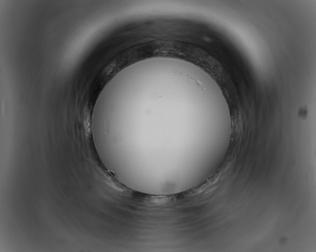 X0000101470479200807071223