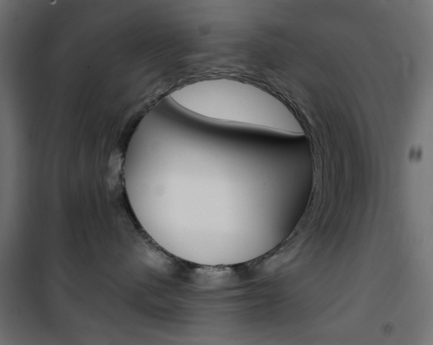X0000101470480200807071223